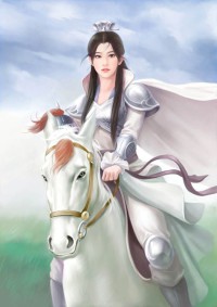 纵横奥特位面